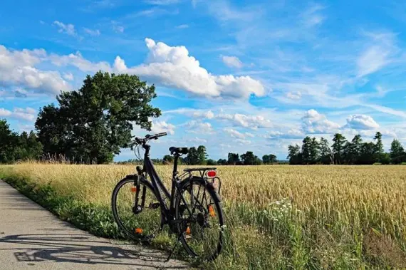 Racibórz - PKS - Busse und Autobusse - Verkehr - Sehenswürdigkeiten und Denkmäler